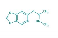 Guided Tripping | MDMA | Psychedelics Research