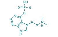 Guided Tripping | Psilocybin | Psychedelic Research