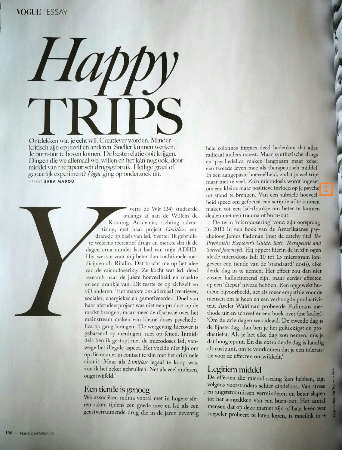 Guided Tripping in Happy Trips Vogue